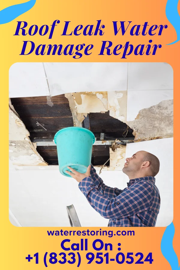 Roof Leak Water Damage Repair in Glencoe, FL
