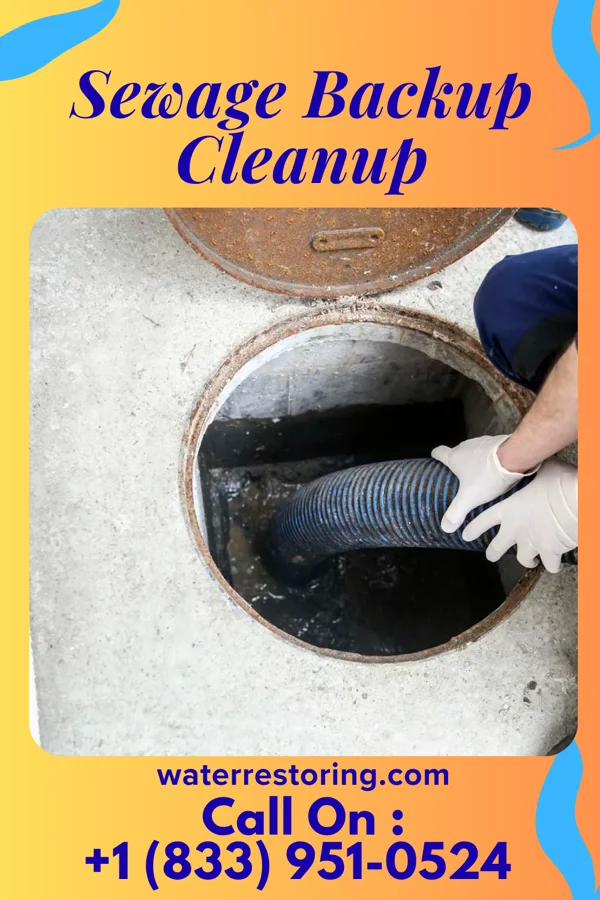 Sewage Backup Cleanup in Glencoe, FL